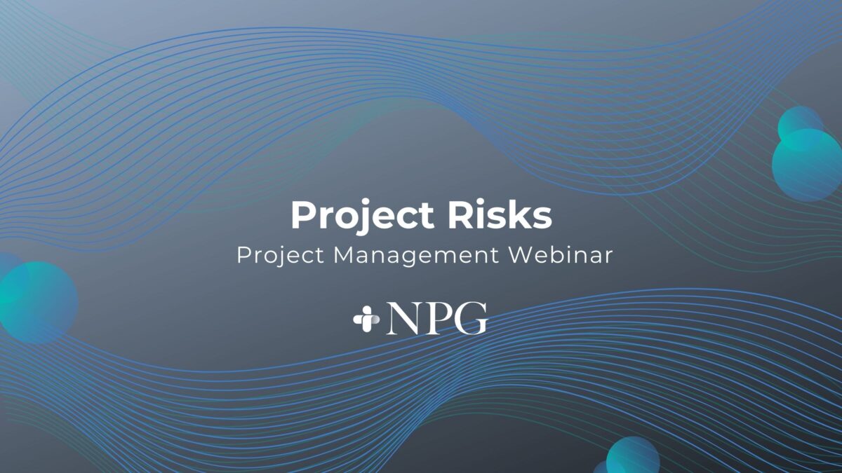 Post Image: Project Risks